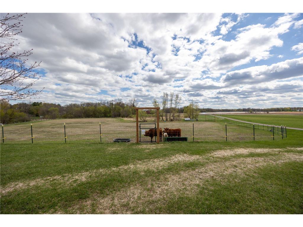 25250 Tucker Road Rogers MN 55374 7064938 image53
