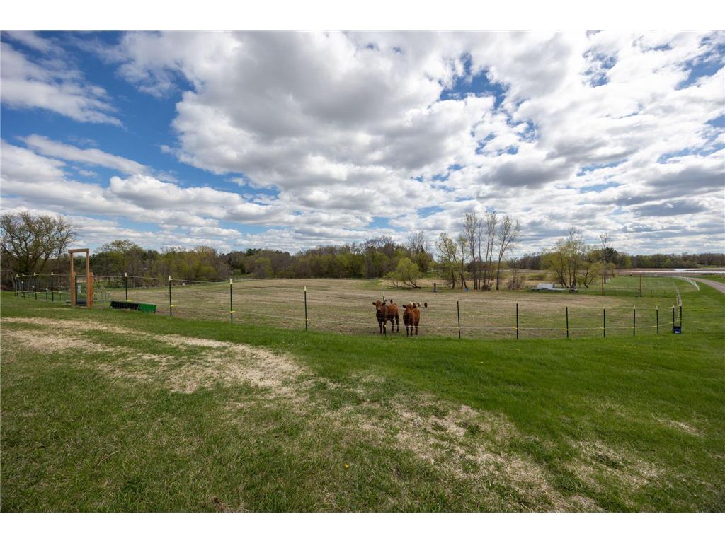 25250 Tucker Road Rogers MN 55374 7064938 image54