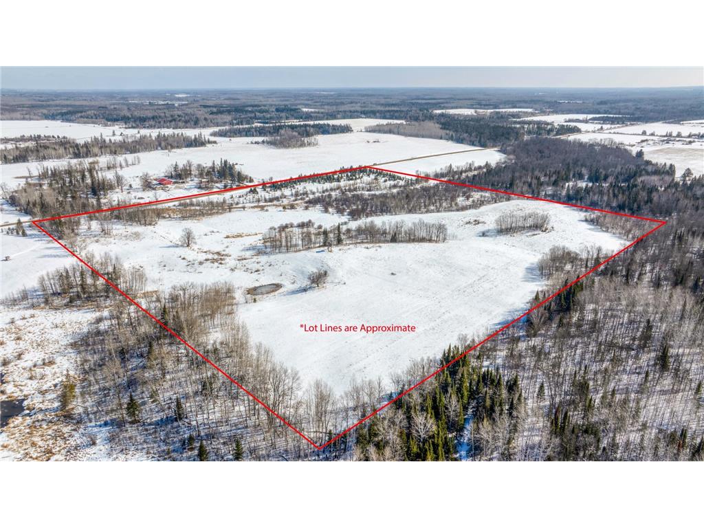 25264 Three Mile Road NE Hornet Twp MN 56630 7053326 image2