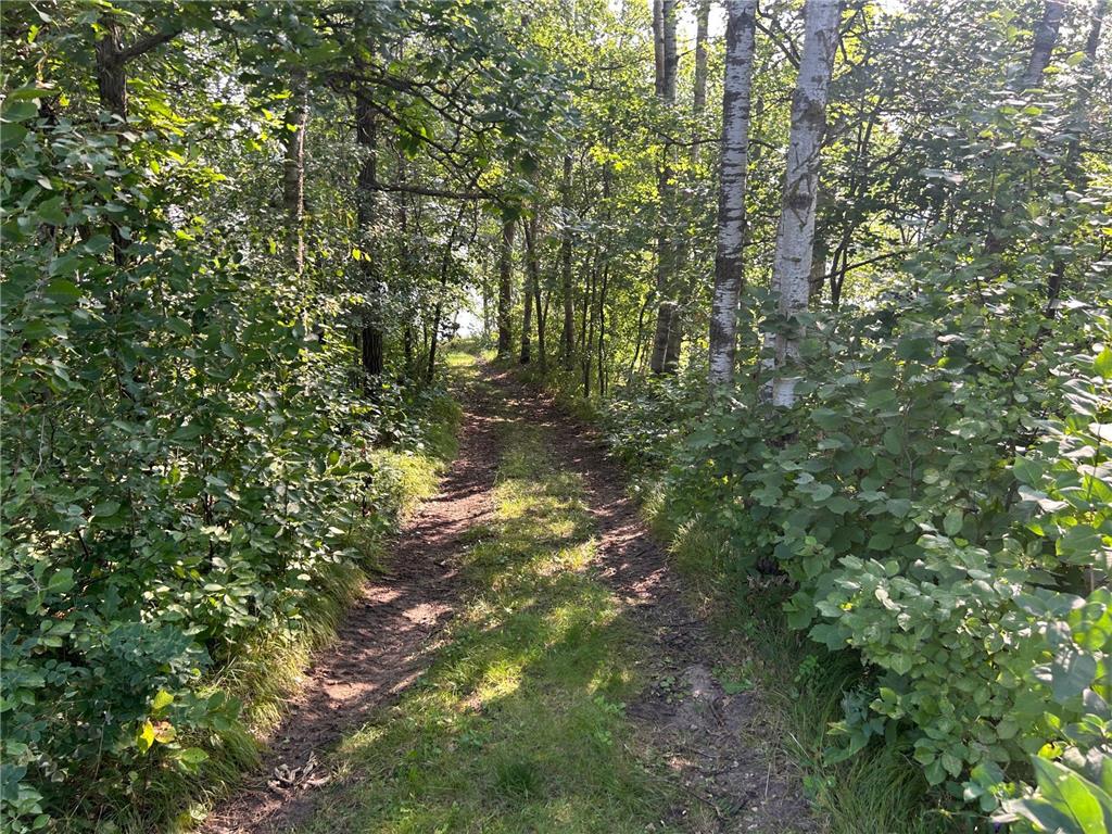 25266 Oak Knoll Trail Osage MN 56570 - Straight 6769611 image6