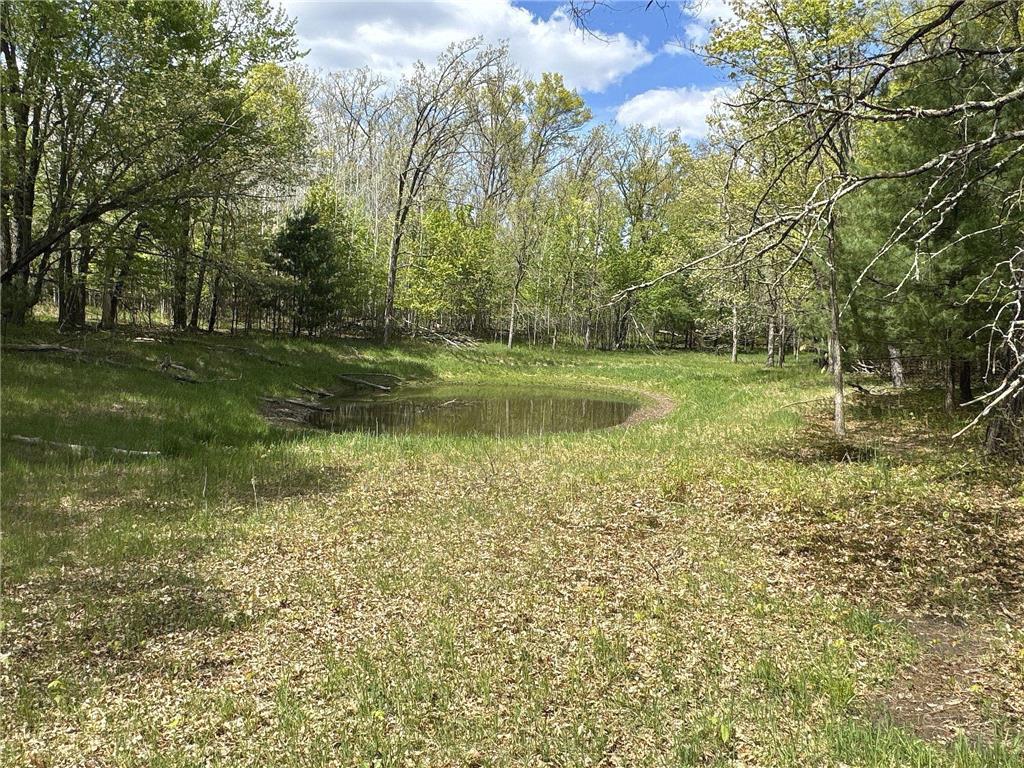 25275 Bruss Road Lincoln Twp WI 54893 7090795 image1