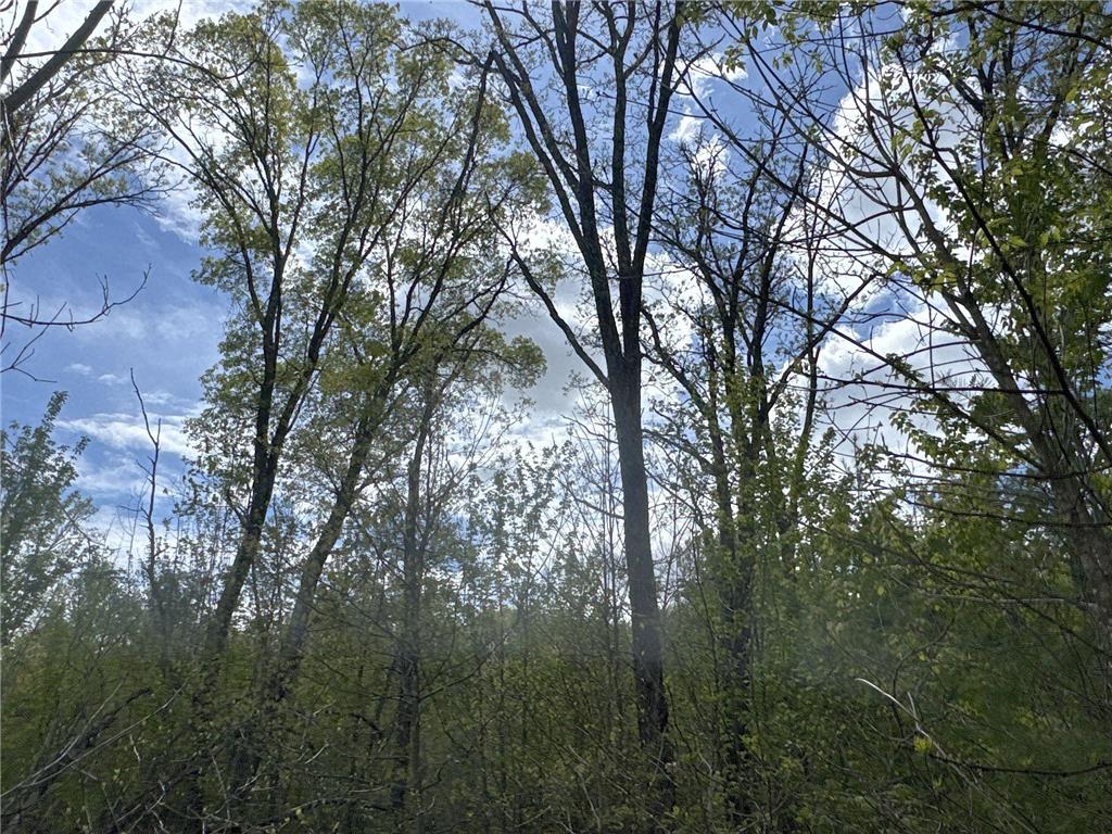 25275 Bruss Road Lincoln Twp WI 54893 7090795 image10