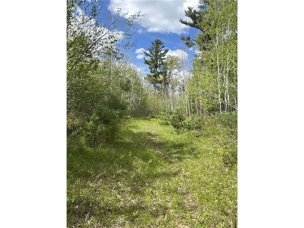 25275 Bruss Road Lincoln Twp WI 54893 7090795 image11