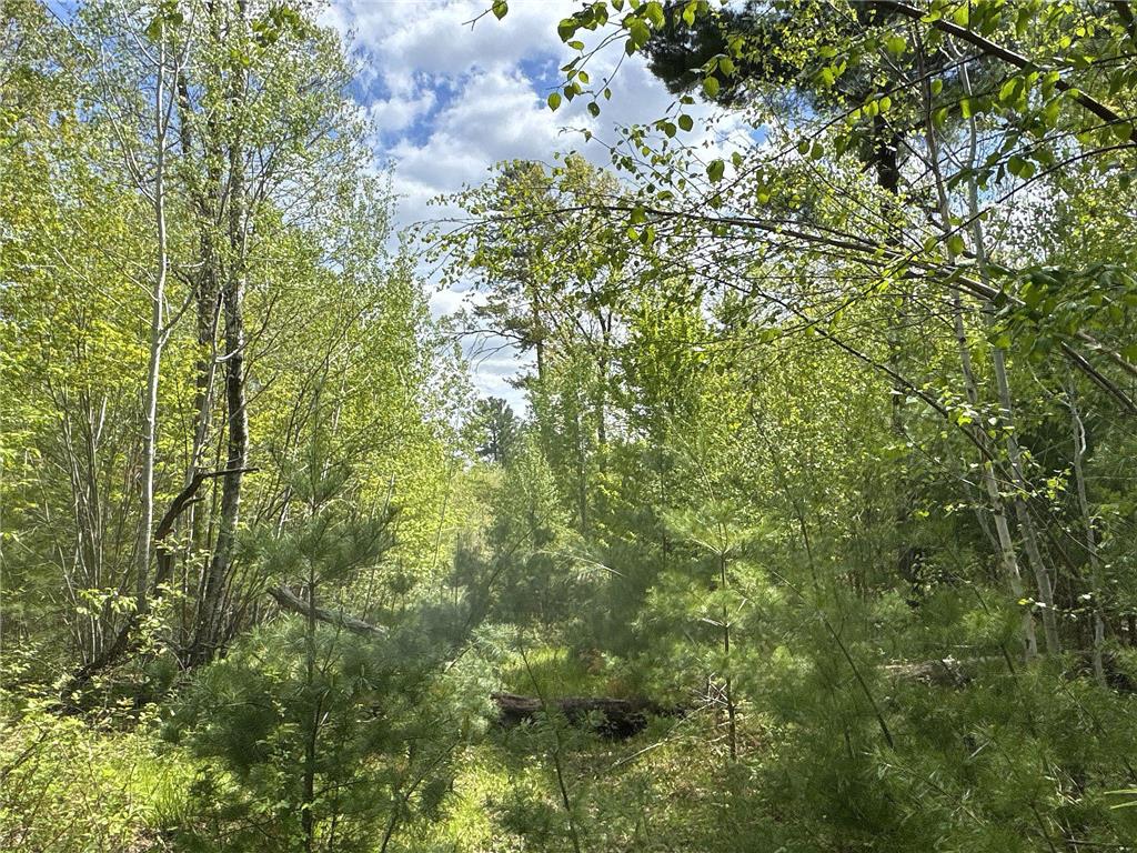 25275 Bruss Road Lincoln Twp WI 54893 7090795 image12