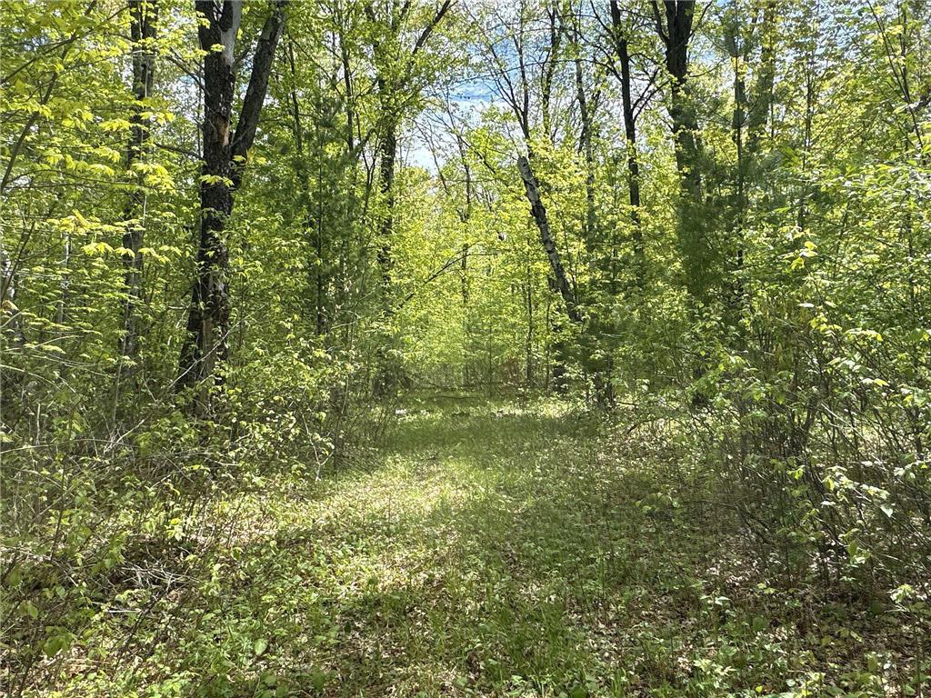 25275 Bruss Road Lincoln Twp WI 54893 7090795 image13