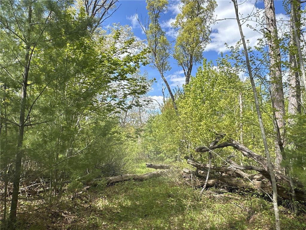 25275 Bruss Road Lincoln Twp WI 54893 7090795 image14