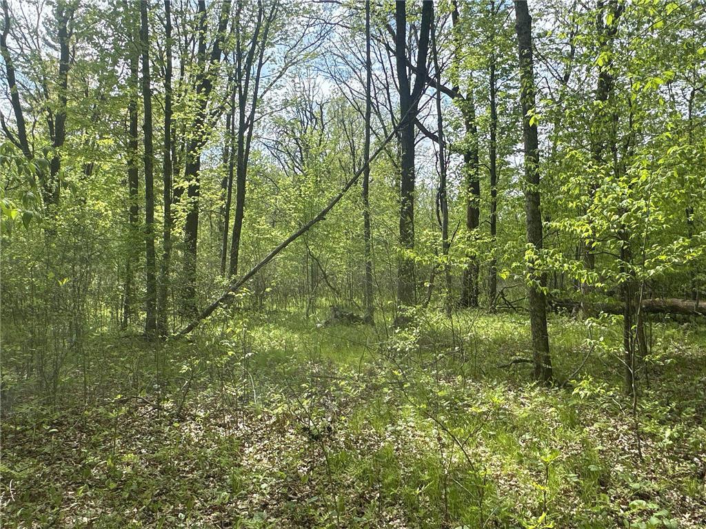 25275 Bruss Road Lincoln Twp WI 54893 7090795 image15