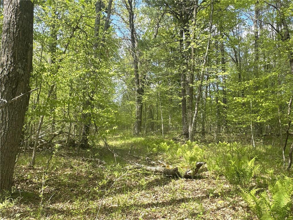 25275 Bruss Road Lincoln Twp WI 54893 7090795 image17
