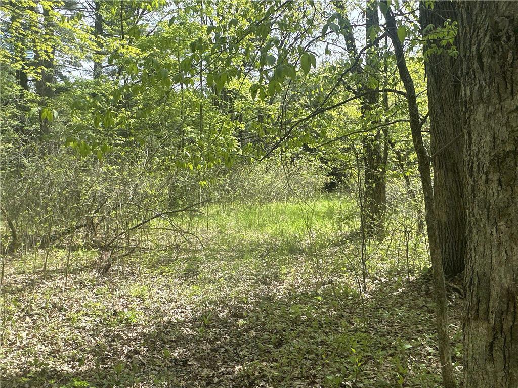 25275 Bruss Road Lincoln Twp WI 54893 7090795 image18