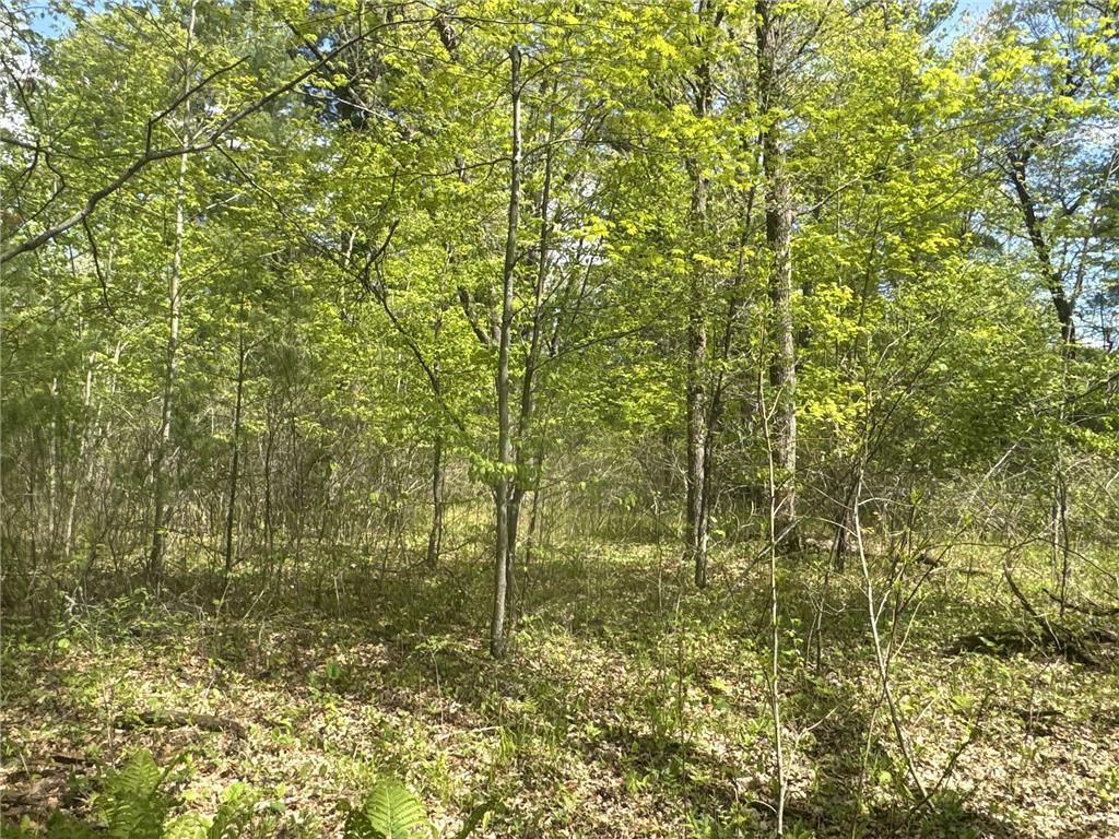 25275 Bruss Road Lincoln Twp WI 54893 7090795 image19