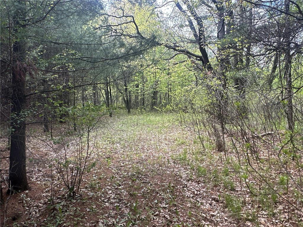 25275 Bruss Road Lincoln Twp WI 54893 7090795 image21
