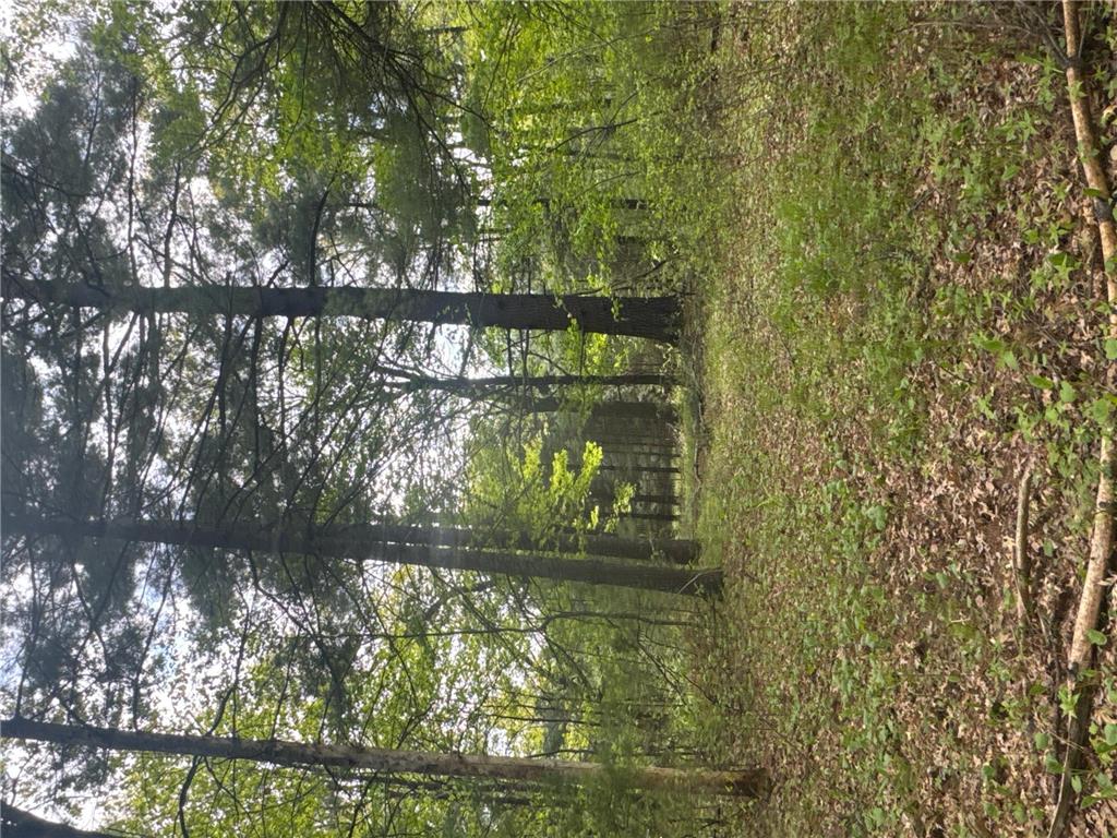 25275 Bruss Road Lincoln Twp WI 54893 7090795 image22