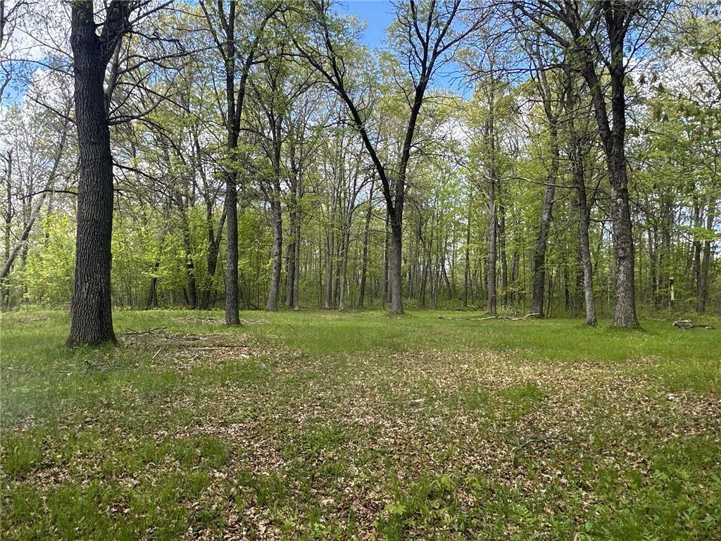 25275 Bruss Road Lincoln Twp WI 54893 7090795 image25
