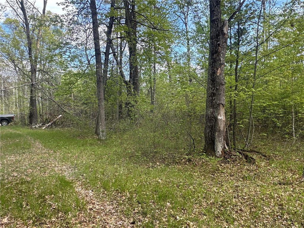 25275 Bruss Road Lincoln Twp WI 54893 7090795 image26