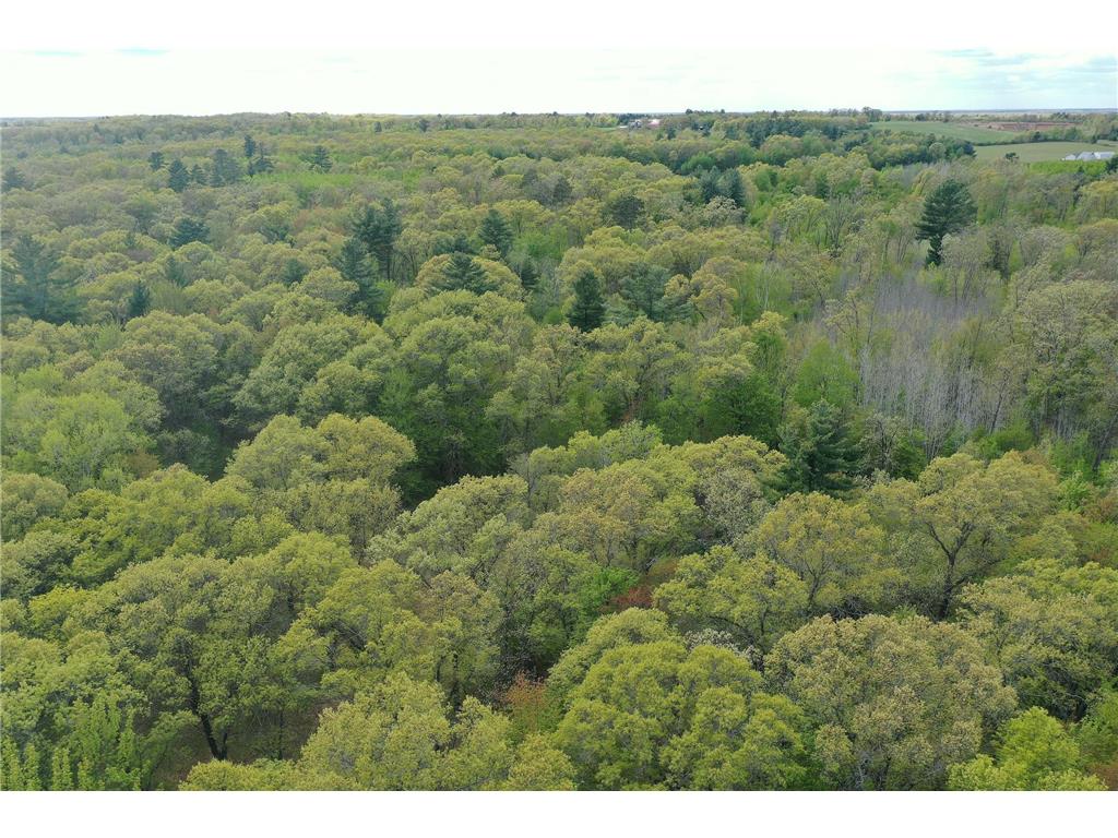 25275 Bruss Road Lincoln Twp WI 54893 7090795 image28