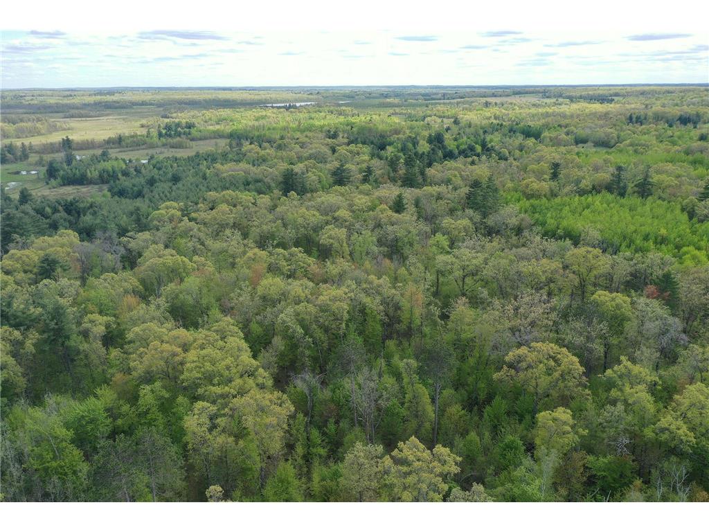25275 Bruss Road Lincoln Twp WI 54893 7090795 image32