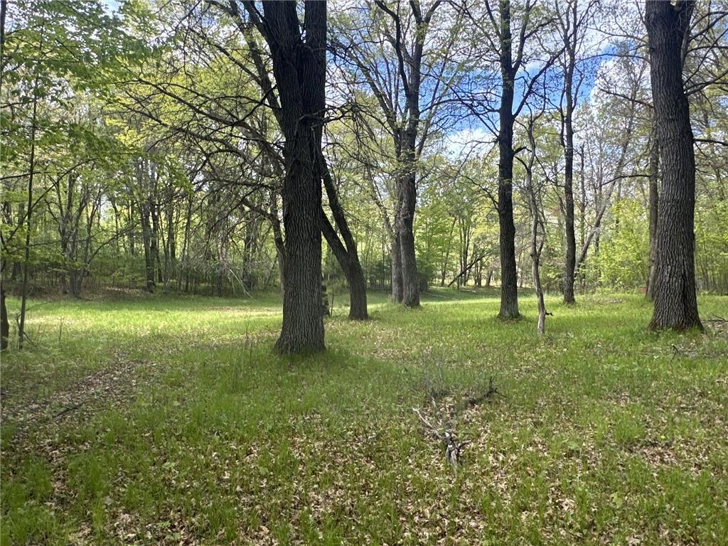 25275 Bruss Road Lincoln Twp WI 54893 7090795 image6