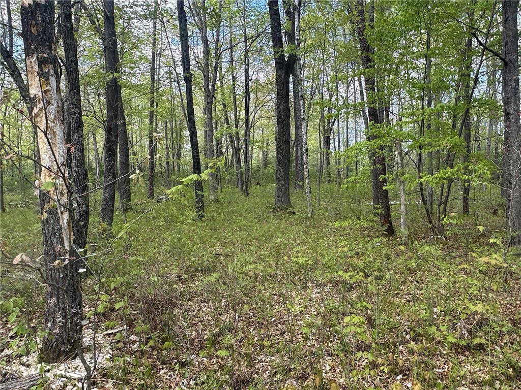 25275 Bruss Road Lincoln Twp WI 54893 7090795 image7