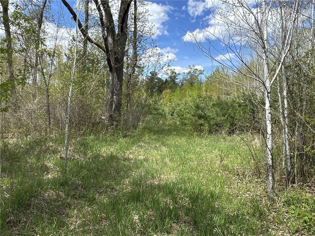 25275 Bruss Road Lincoln Twp WI 54893 7090795 image8