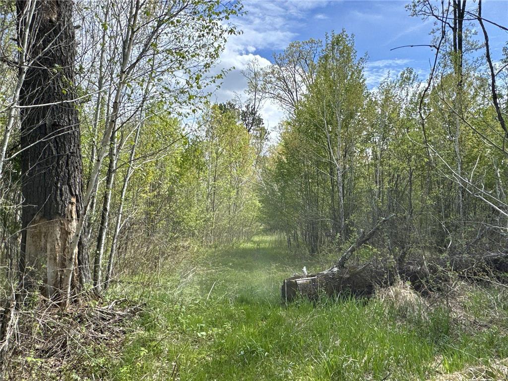 25275 Bruss Road Lincoln Twp WI 54893 7090795 image9