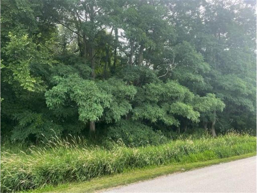 000 TBD Leeward Road Richmond Twp MN 55987 6405338 image1