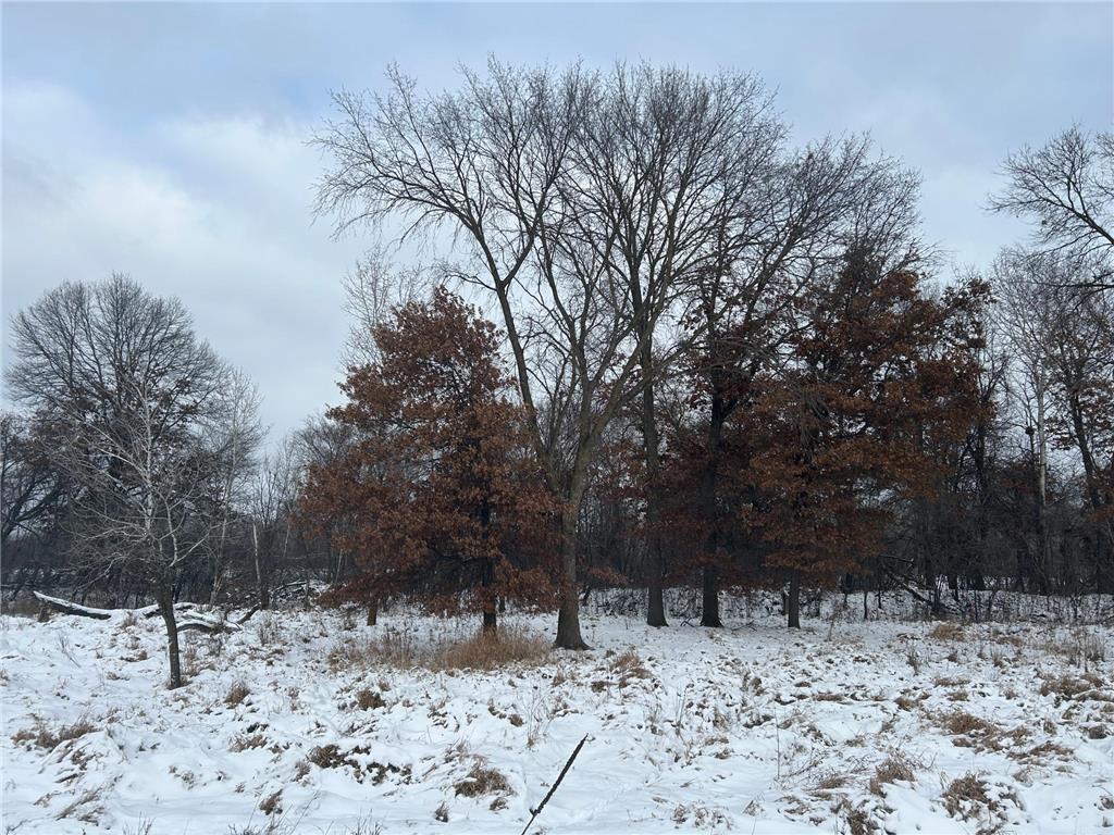 252xx Durant Street NE Isanti MN 55040 6822978 image13