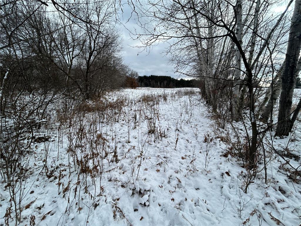 252xx Durant Street NE Isanti MN 55040 6822978 image17