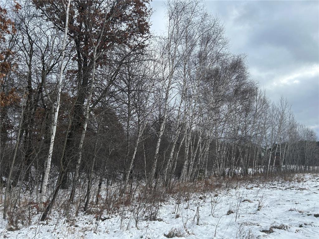 252xx Durant Street NE Isanti MN 55040 6822978 image18