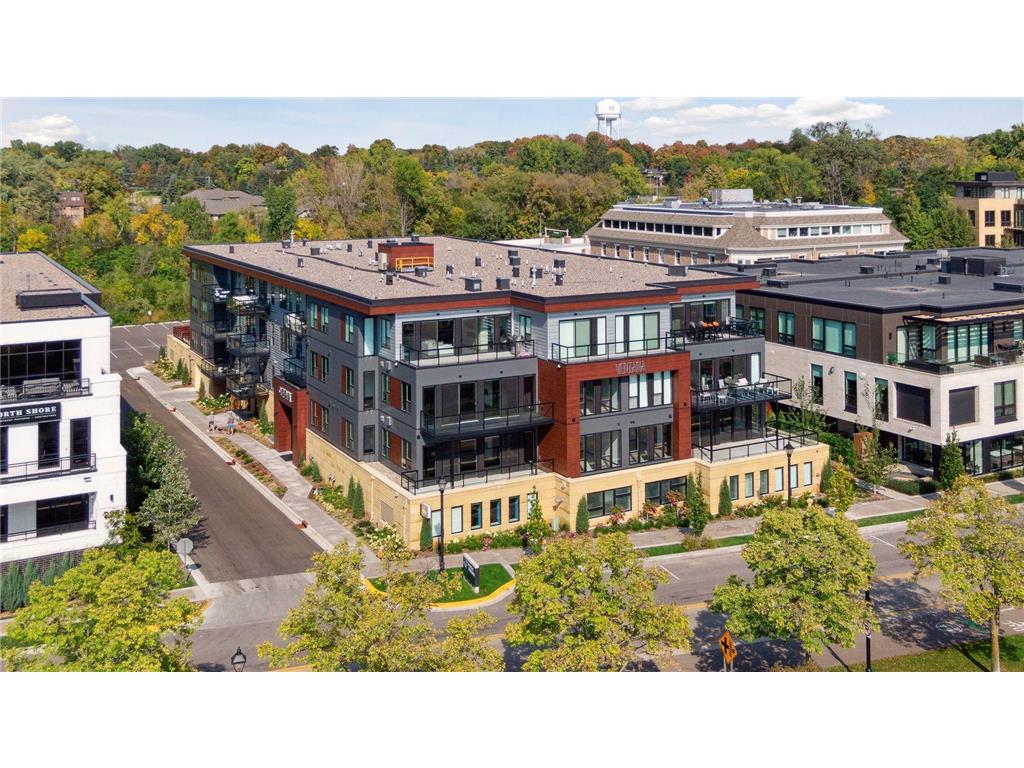 253 Lake Street E 201, Wayzata, MN, 55391 MLS 6439735 Edina Realty