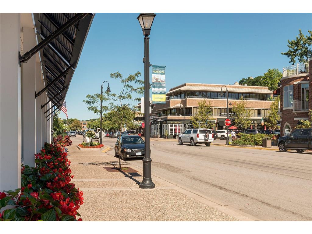 253 Lake Street E #206 Wayzata MN 55391 7050771 image59