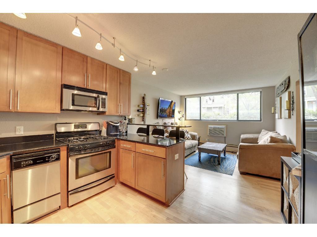 2530 1st Avenue S #101 Minneapolis MN 55404 6445515 image1
