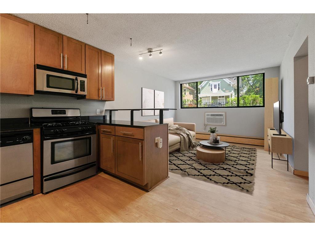 2530 1st Avenue S #101 Minneapolis MN 55404 6515868 image1