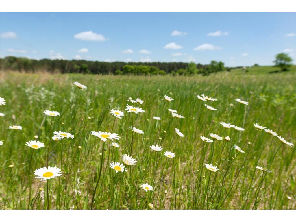 2531 Jackson Trail, Marine on Saint Croix, MN 55047 MLS 5580204