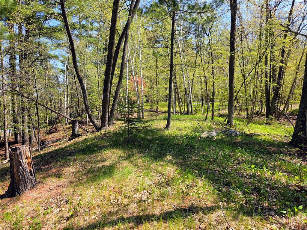 25315 Heartland Drive Mantrap Twp MN 56467 - Ojibway Lake 7041269 image51