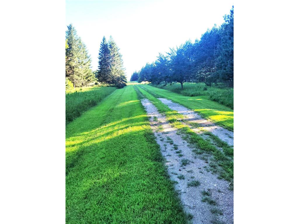 25320 154th Street Staples MN 56479 - Leaf River 6777573 image29