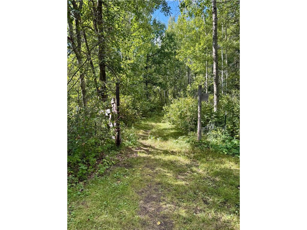 25333 196th Street Bullard Twp MN 56479 6785369 image14