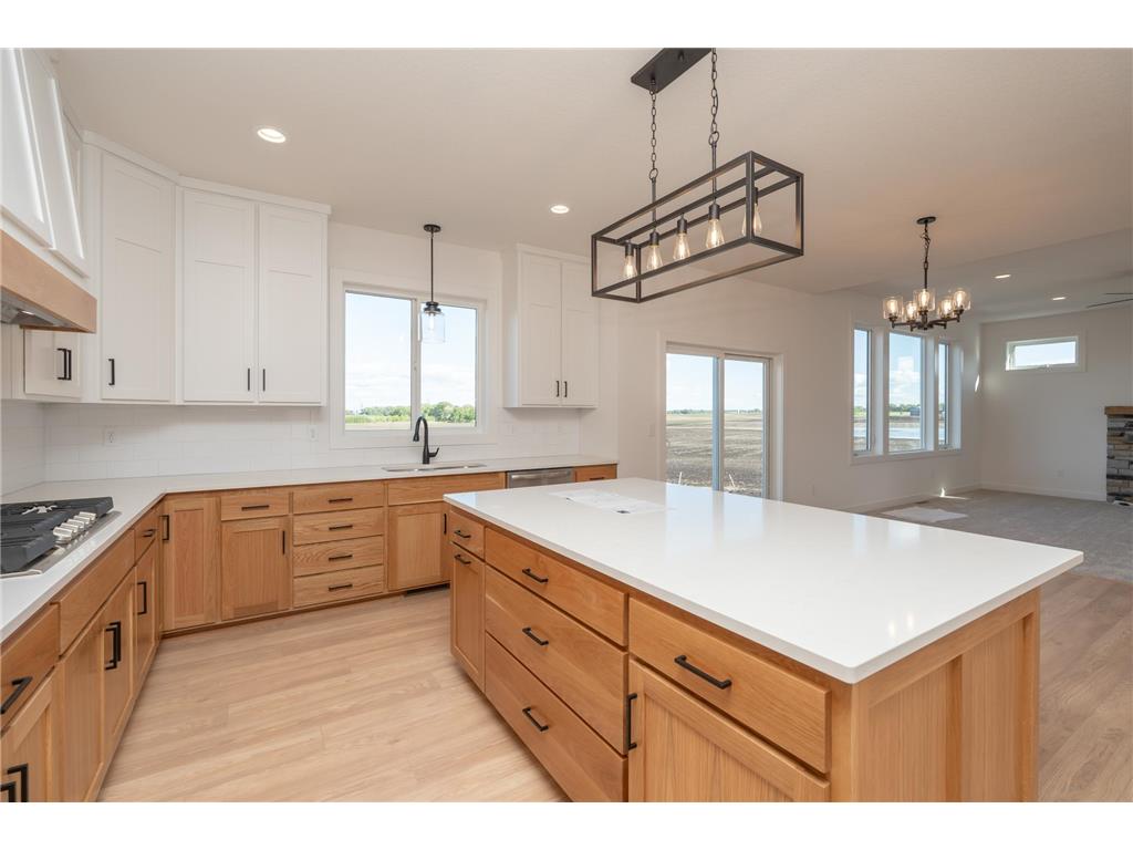 25341 Delmar Avenue New Prague MN 56071 7032477 image17