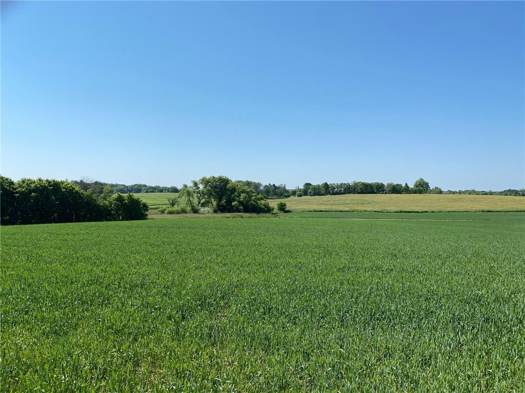 2535 Pioneer Trail Medina MN 55340 6495806 image15