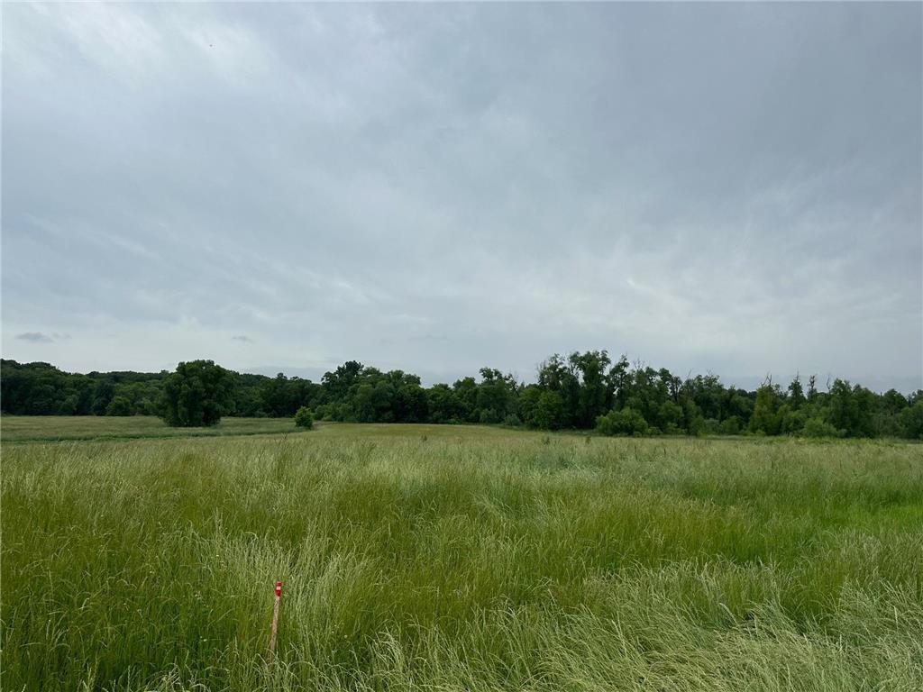 2535 Pioneer Trail Medina MN 55340 7059507 image26