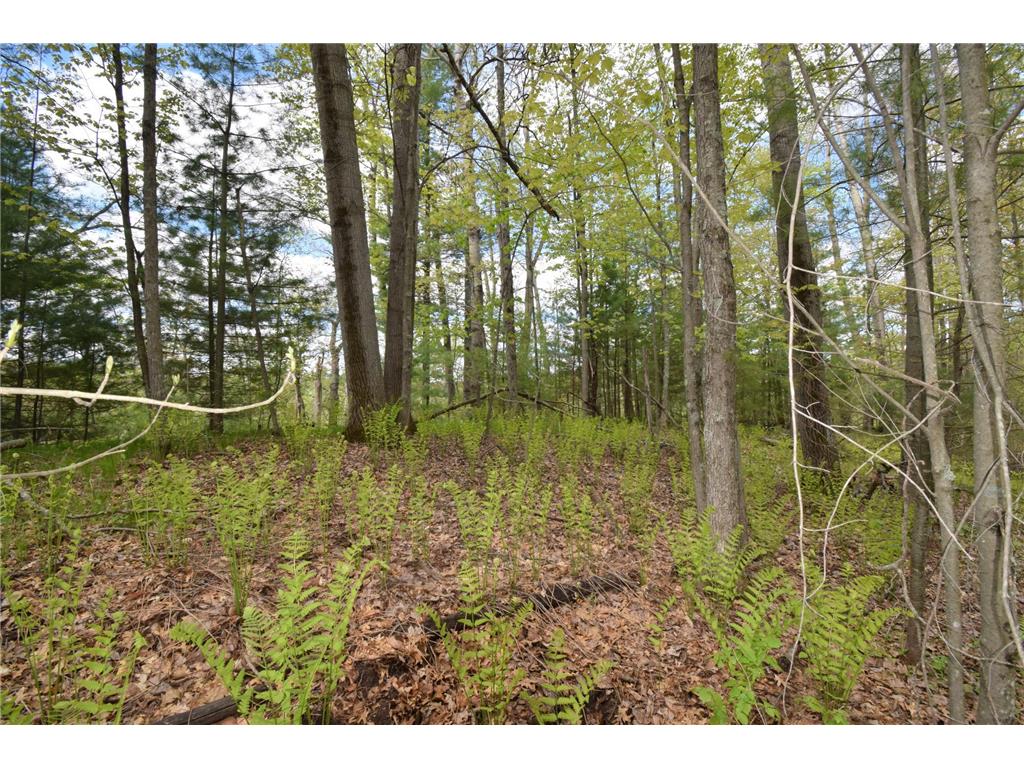 25383 Mansfield Road Webster WI 54893 - Clam River 7078552 image10