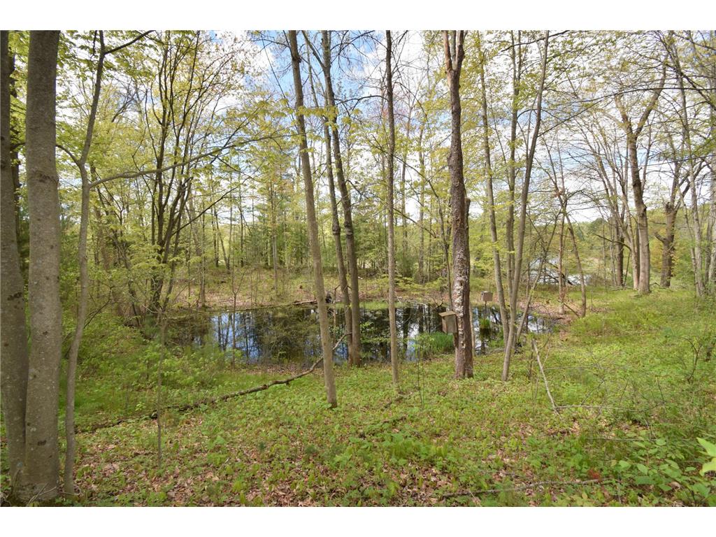 25383 Mansfield Road Webster WI 54893 - Clam River 7078552 image14