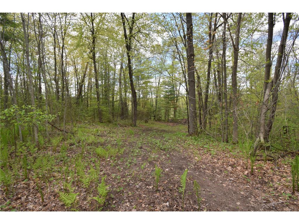 25383 Mansfield Road Webster WI 54893 - Clam River 7078552 image6