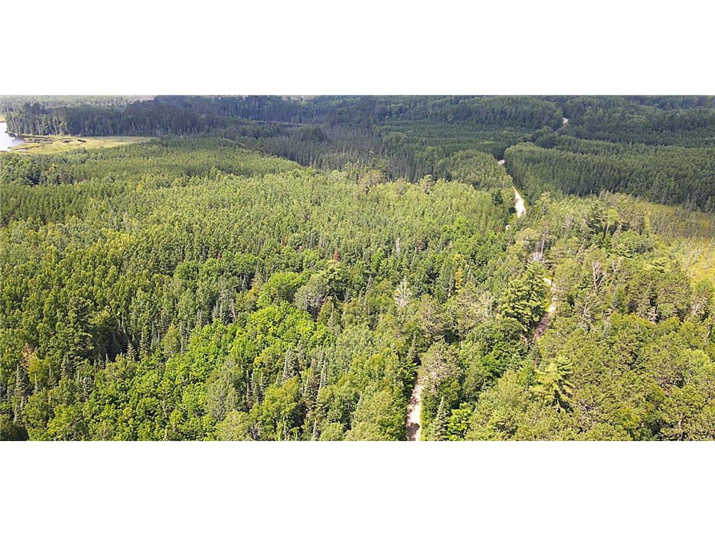 25384 County Road 523 Carpenter Twp MN 56639 - Deer Lake 6763294 image10