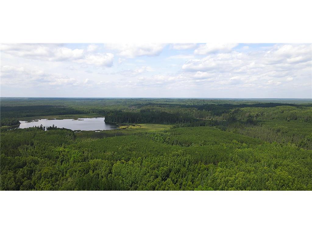 25384 County Road 523 Carpenter Twp MN 56639 - Deer Lake 6763294 image11