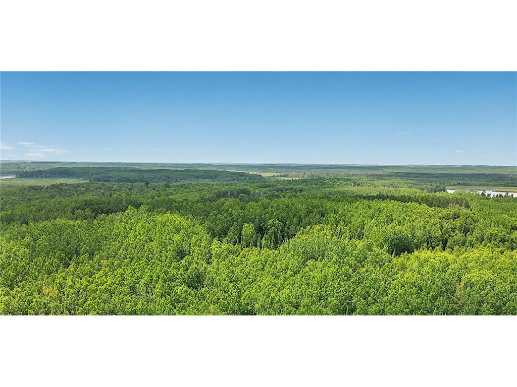 25384 County Road 523 Carpenter Twp MN 56639 - Deer Lake 6763294 image4