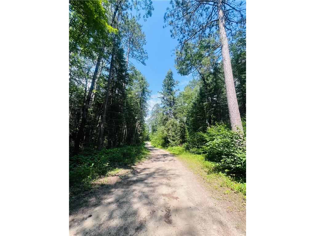 25384 County Road 523 Carpenter Twp MN 56639 - Deer Lake 6763294 image5