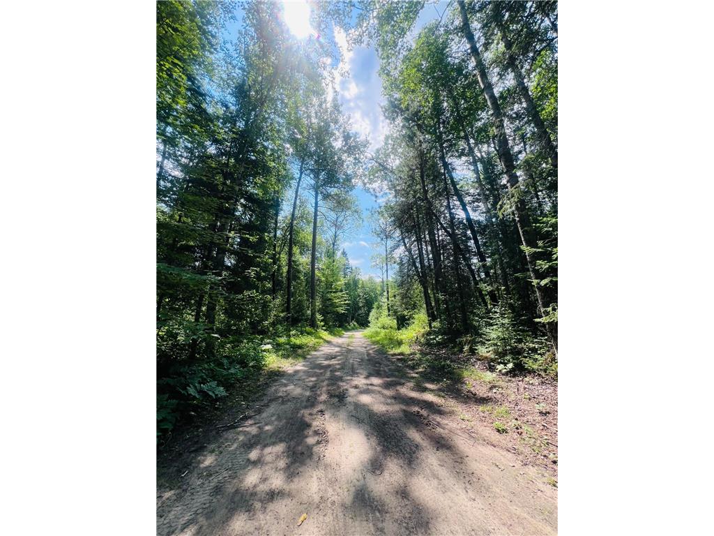 25384 County Road 523 Carpenter Twp MN 56639 - Deer Lake 6763294 image6