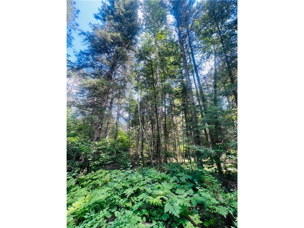 25384 County Road 523 Carpenter Twp MN 56639 - Deer Lake 6763294 image7