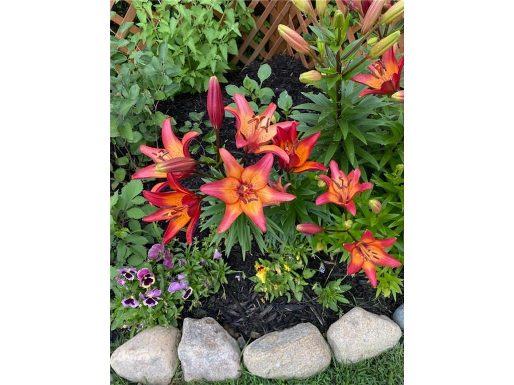 25388 County Road 523 Carpenter Twp MN 56639 - Deer Lake 7016687 image32