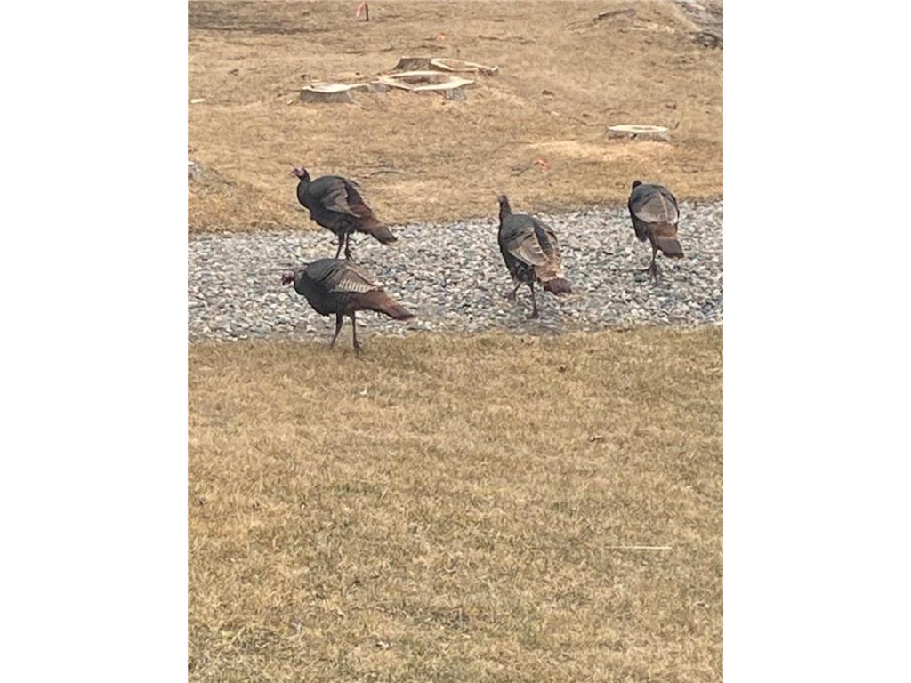 25388 County Road 523 Carpenter Twp MN 56639 - Deer Lake 7016687 image39